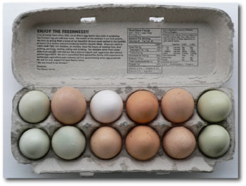 eggs in an egg carton