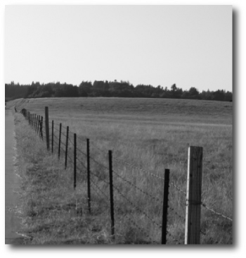 fenceposts at ucsc